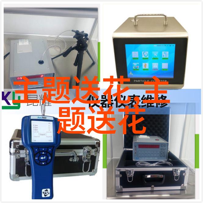 花卉与春节民俗