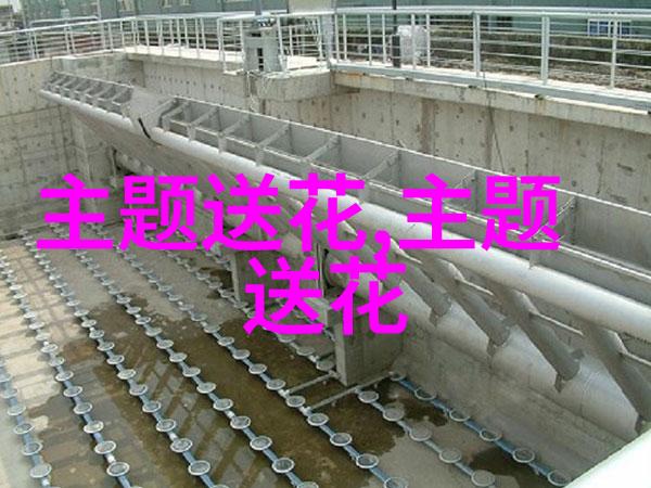 清明节悼念先人主流花卉菊花