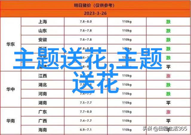 杭州上城区的本地花店