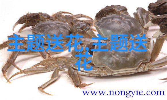 结婚纪念日送花讲究