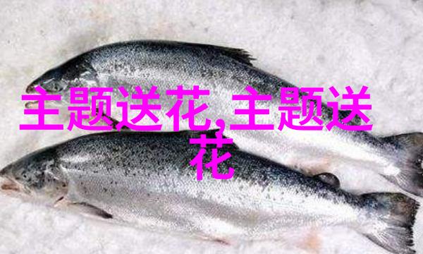 菊花与节令