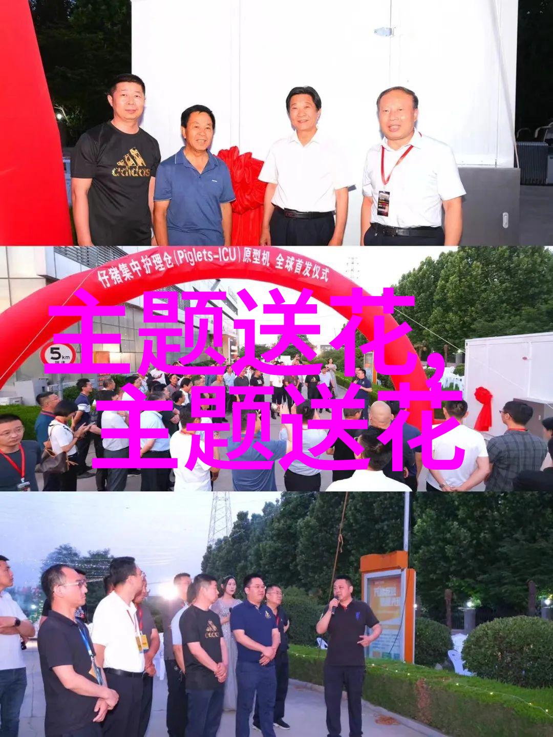 圣诞节给老师送什么花
