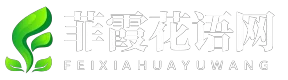 菲霞花语网